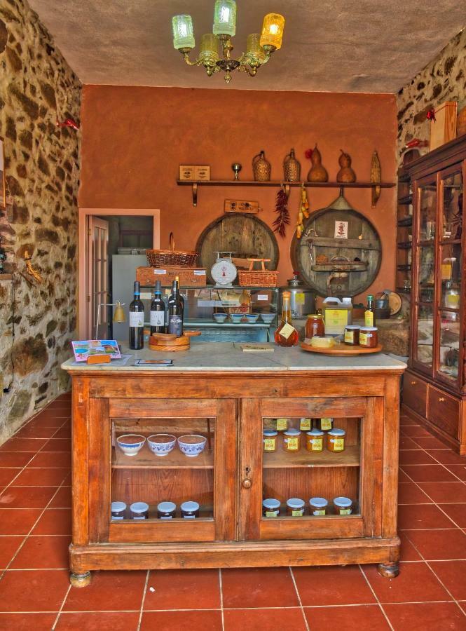 Quinta Do Barracao Da Vilarica Lodões Exterior foto